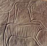 Gravures rupestres animalières (Tawzet  et Oum laalgu)