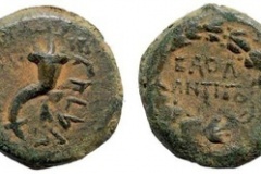 Hasmonean coins.  Mattathias Antigonos (40-37 B.C.)