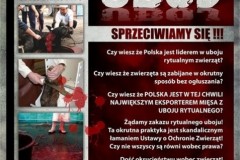 Poster polonais en faveur de l'interdiction de l'abattage rituel