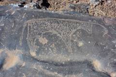 Rock Paintings of Herbivorous Wild Fauna, Tawz and Oulm el Aleg, Morocco
